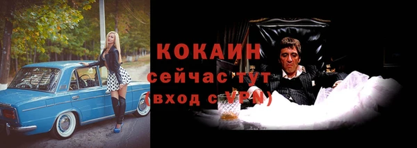 стафф Козловка