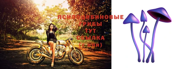 скорость Кинешма