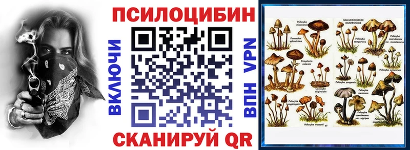 цена   Ессентуки  даркнет телеграм  Псилоцибиновые грибы Magic Shrooms 